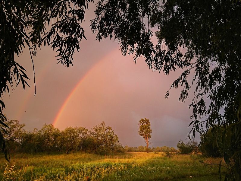 После грозы фото превью