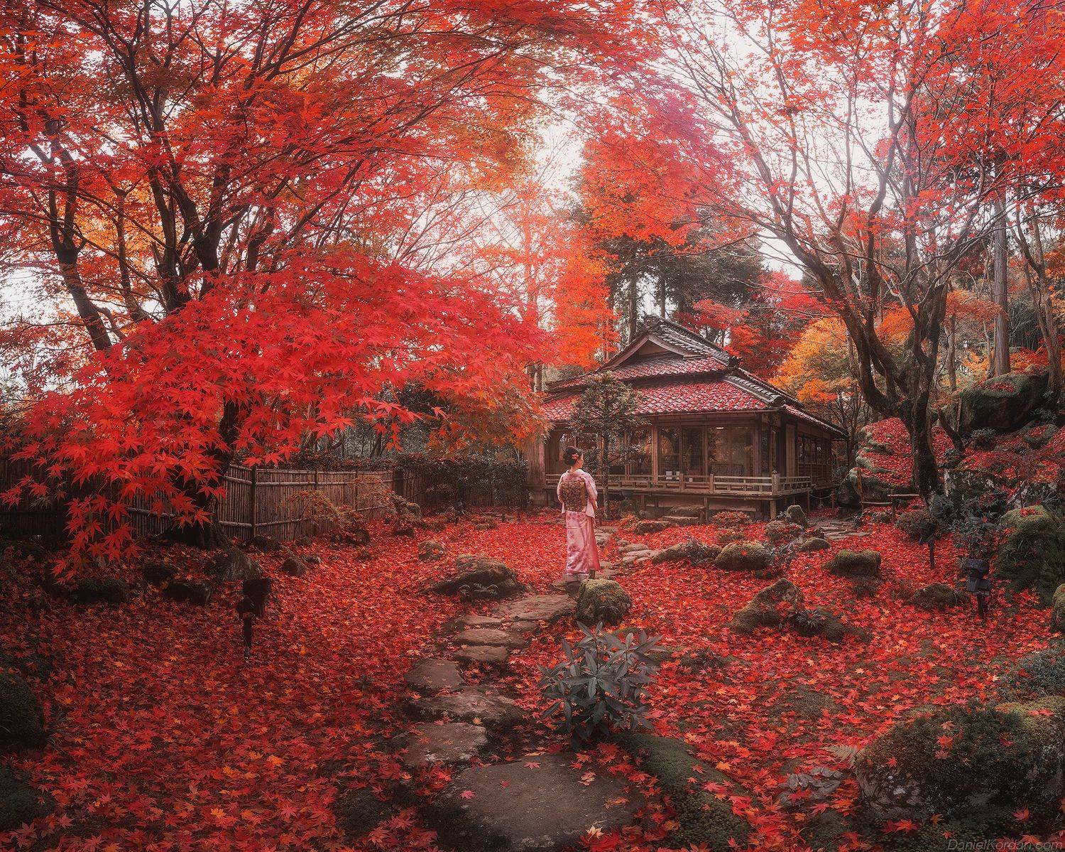 , Даниил Коржонов