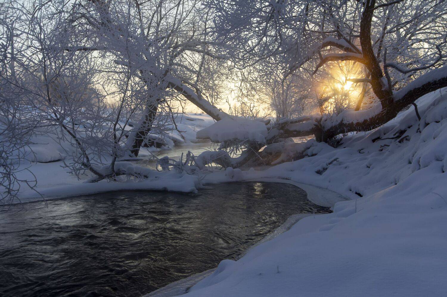 пейзаж, река, мороз, иней, Феденкова Татьяна