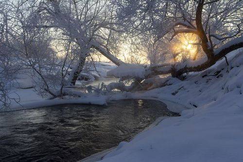 Морозное утро...
