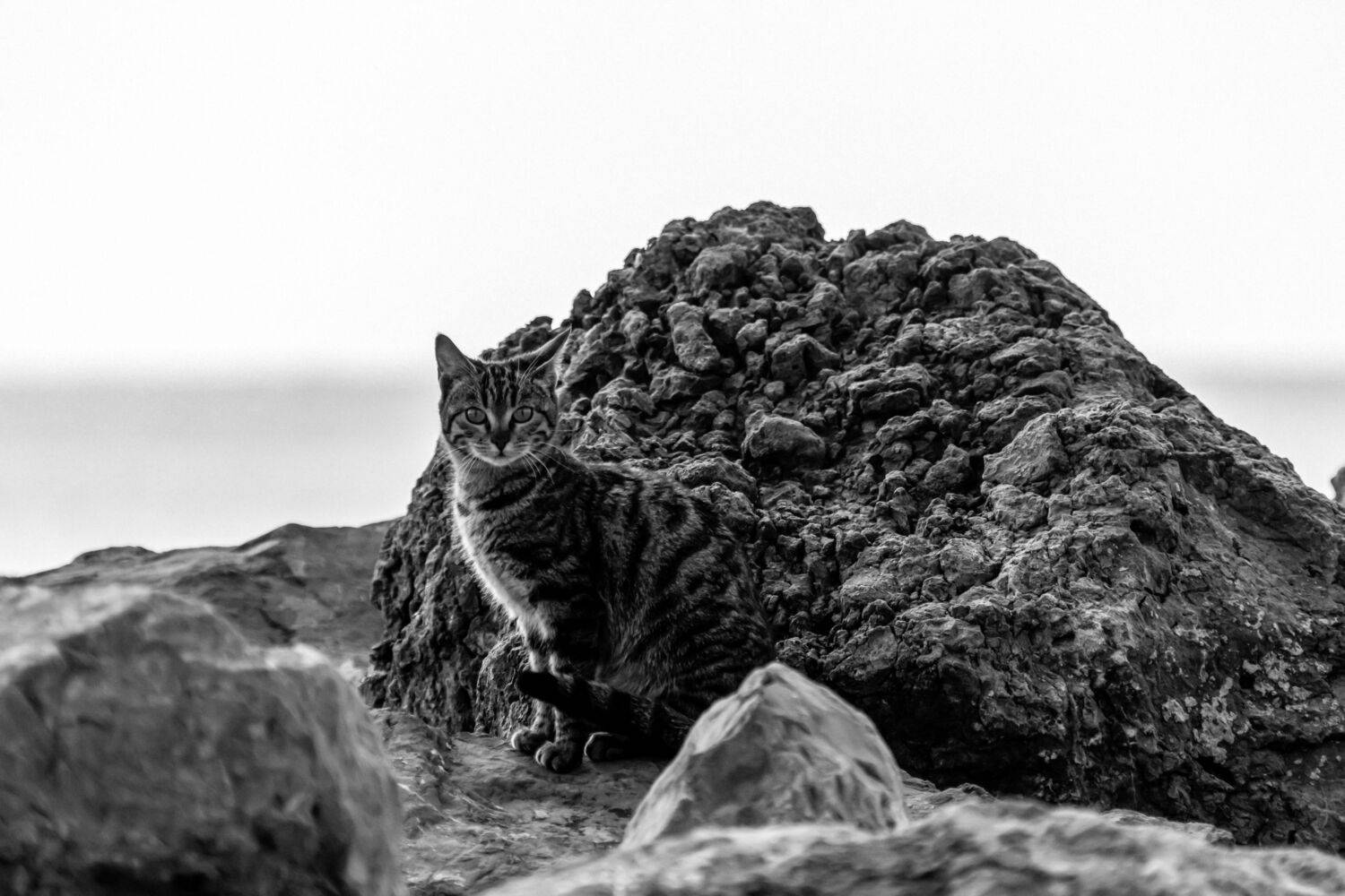 , Шилов Александр