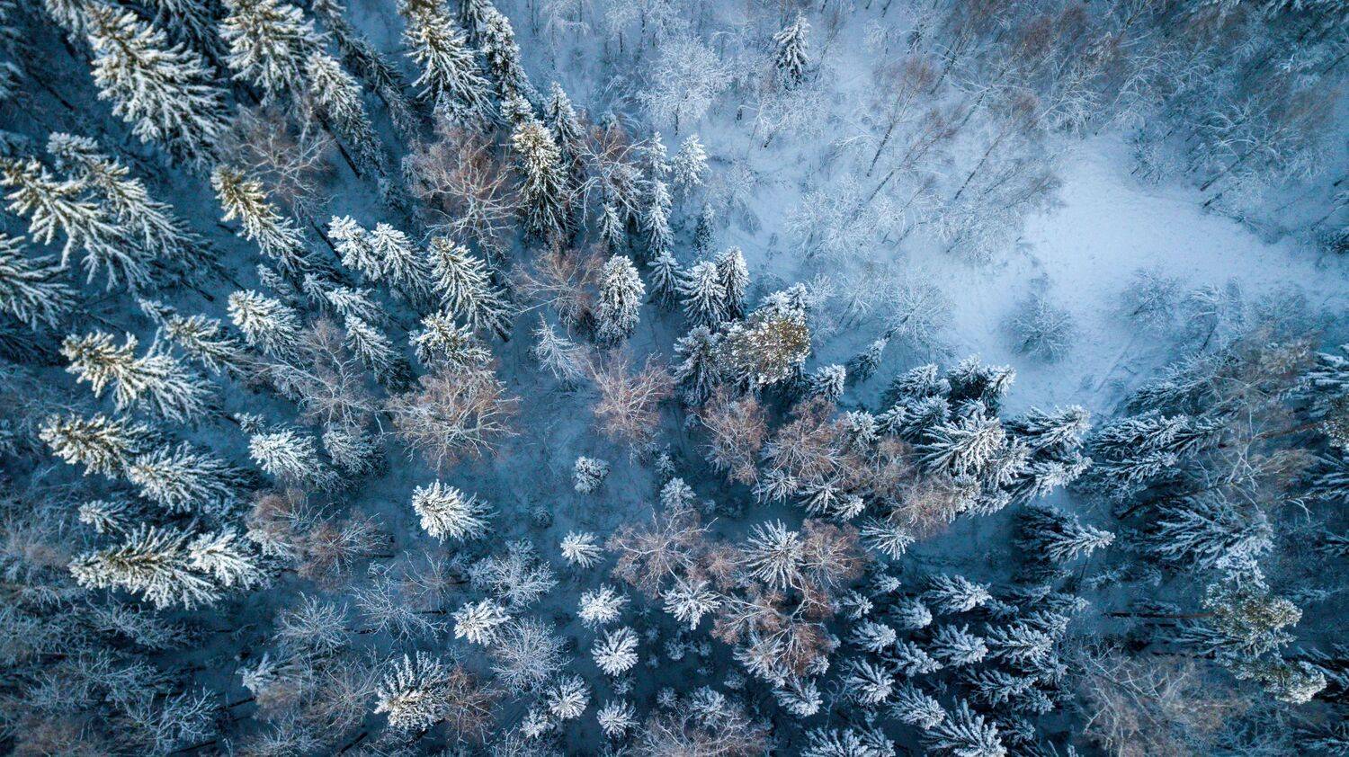 , Сергей Фаренюк