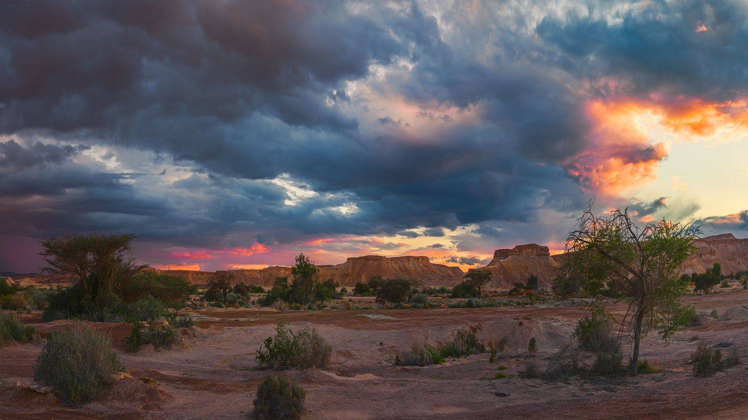 , Шварцман Евгений