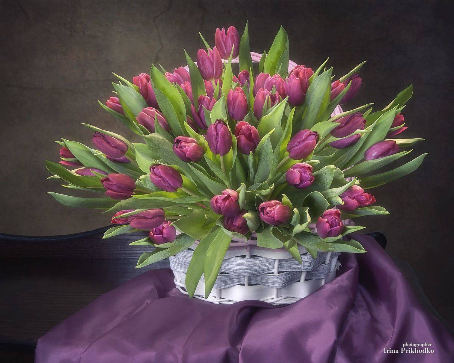 натюрморт, цветы, тюльпаны, букеты, корзина цветов, Приходько Ирина