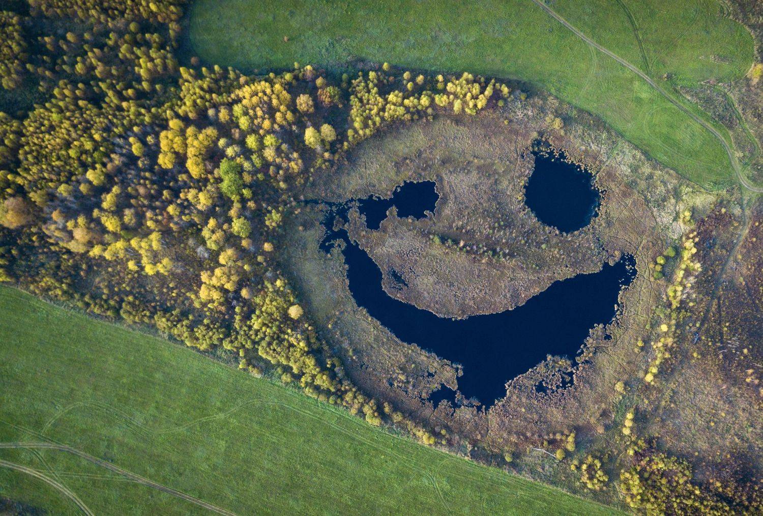 , Сергей Фаренюк