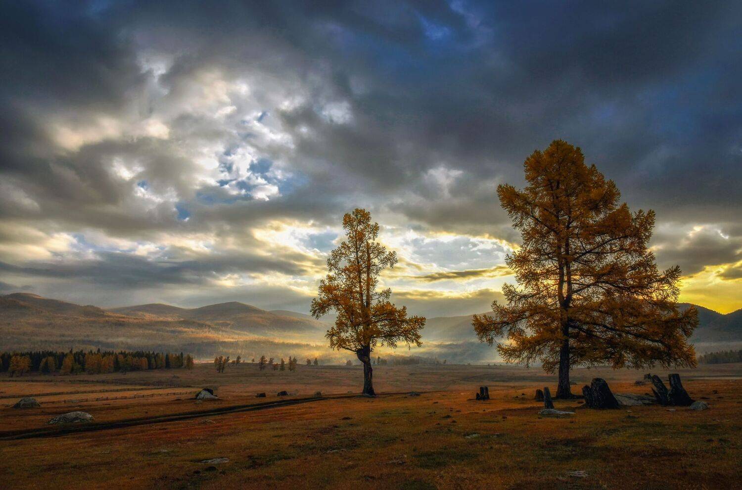 горный алтай,осень,утро,джазатор ( беляши), Лора Павлова