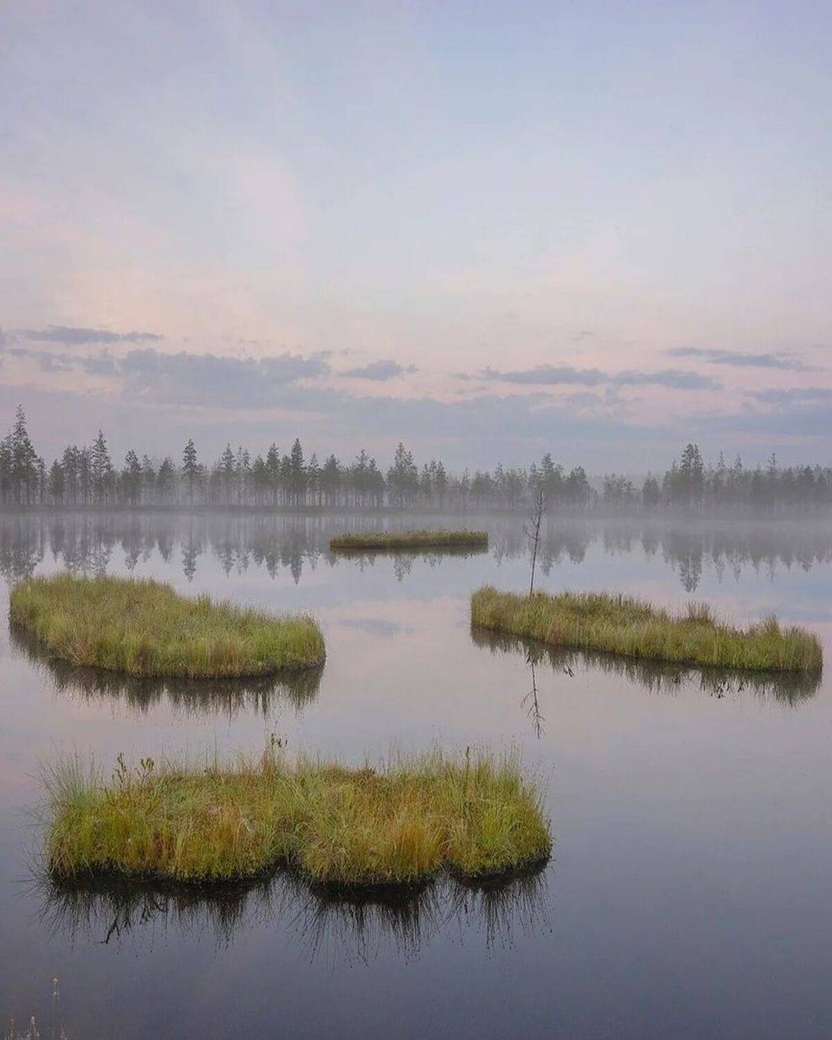 , Петр Косых