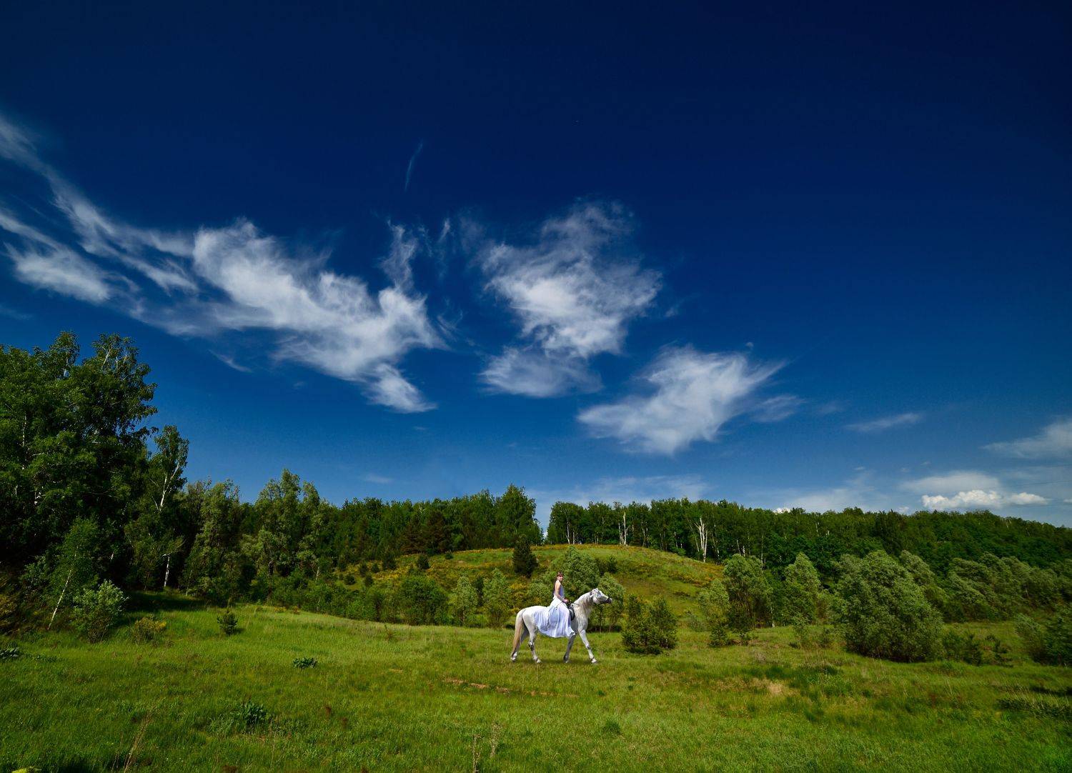 , Владимир Краснов