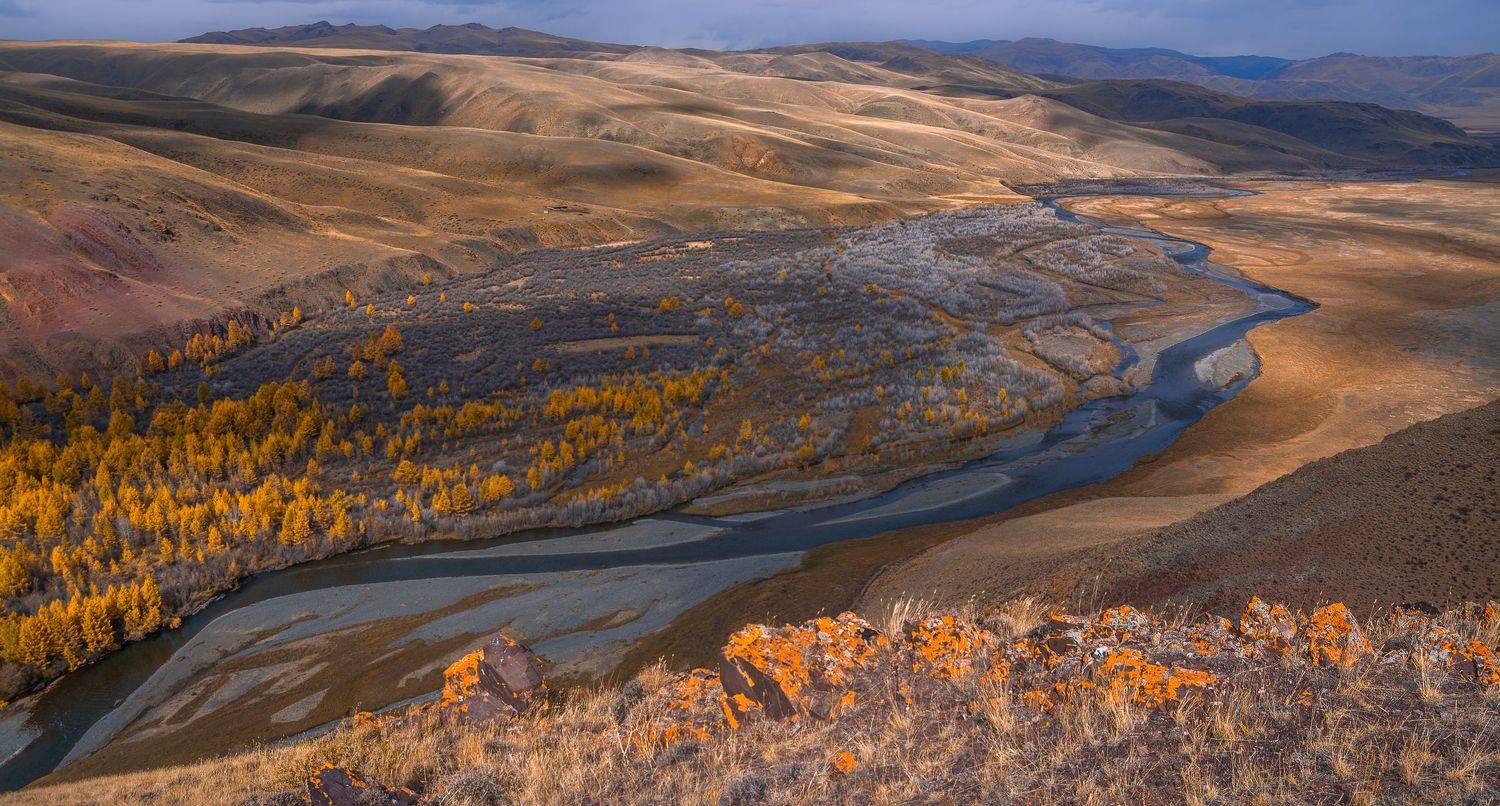 россия, горный алтай,осень, Андрей Поляков