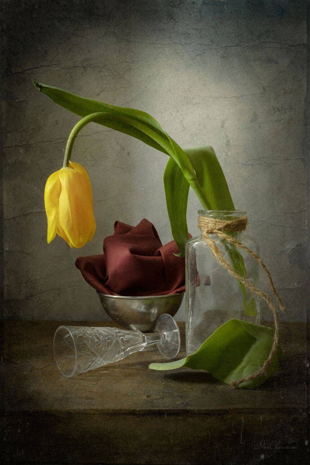 , Чернин Дмитрий