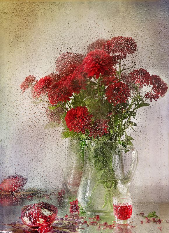 Red flowers фото превью