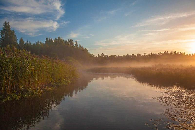 Утренняя река фото превью