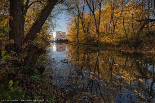 Золотая осень в Кузьминках