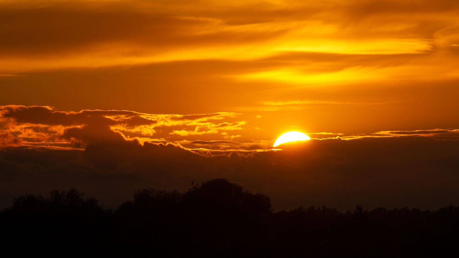 , Елисеев Александр