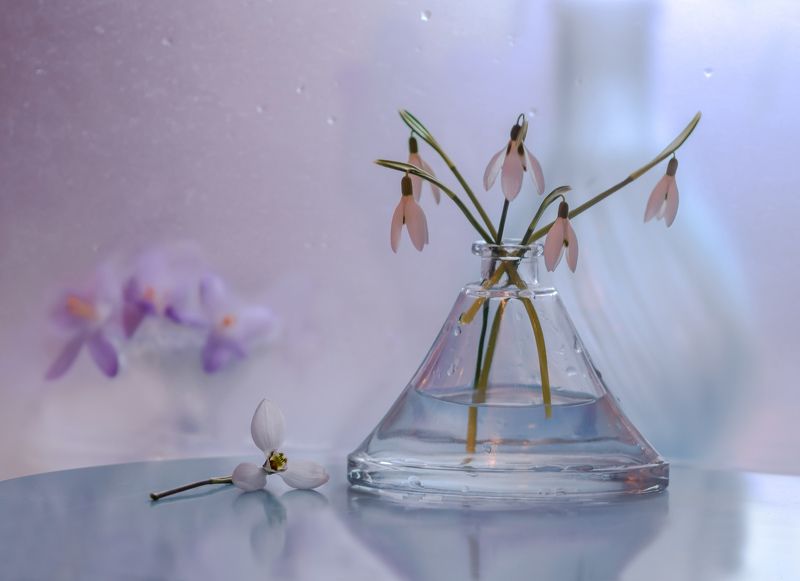 натюрморт,цветы,этюд,вазы,стекло,лепестки,подснежники,крокусы,весна,февраль, Первенцы весны. фото превью