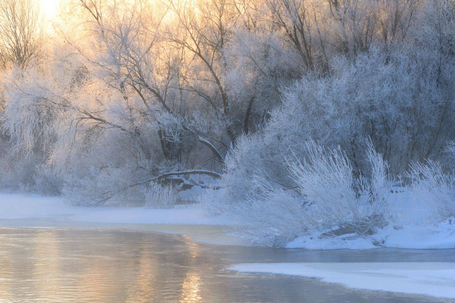 брянская область, сельцо, февраль, 2023, рассвет, природа брянской области, Юлия Лаптева