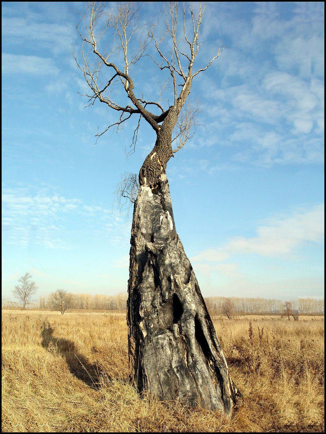, Меднов Влад
