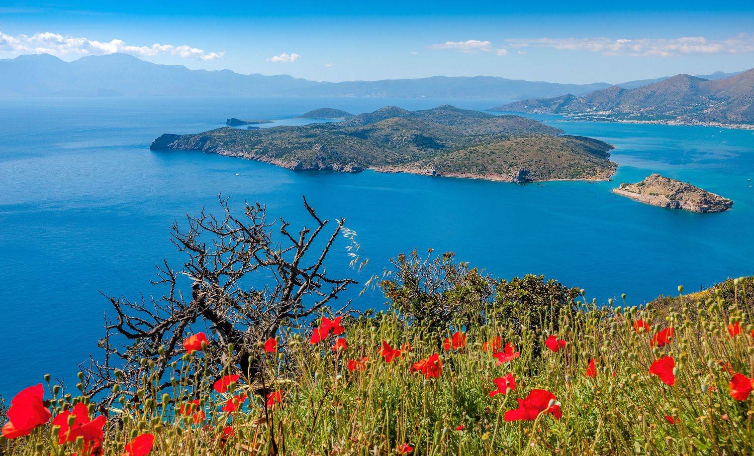 , Владимир Скляров