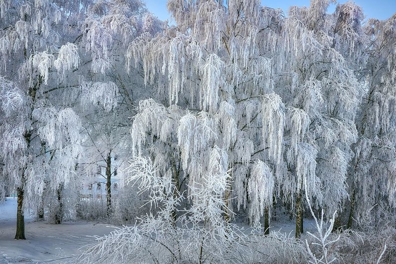 Зимний город. фото превью