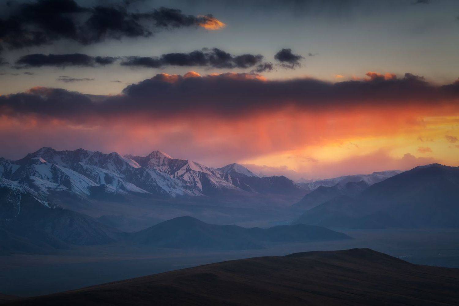 , Ольга Кулакова