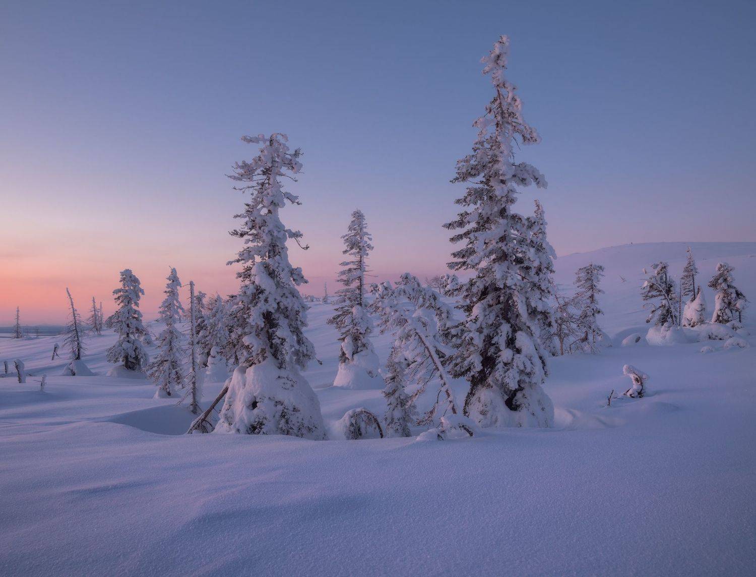 пейзаж,кольский,север,россия, Истомин Виталий