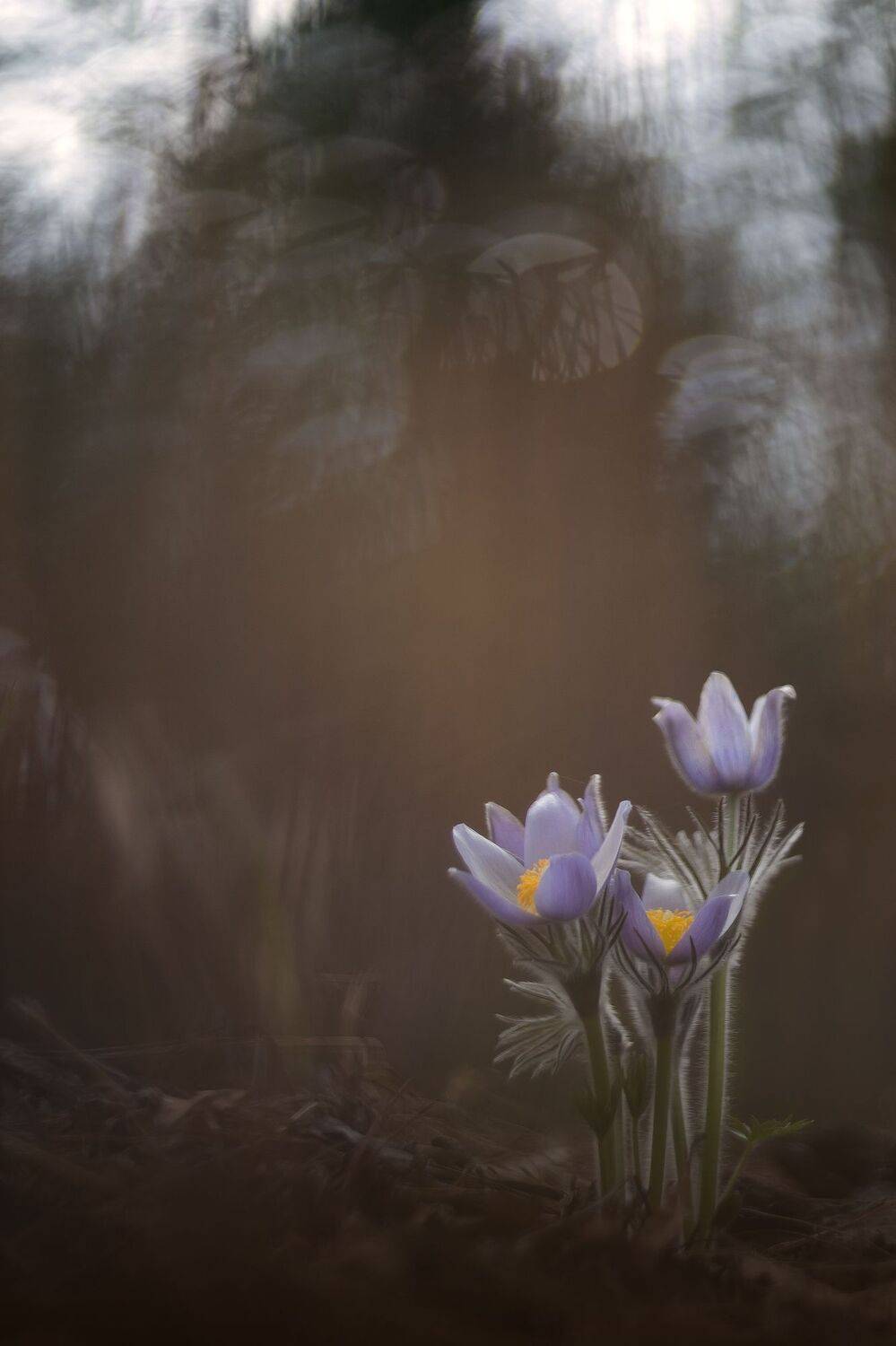 , Кузнецов Дмитрий