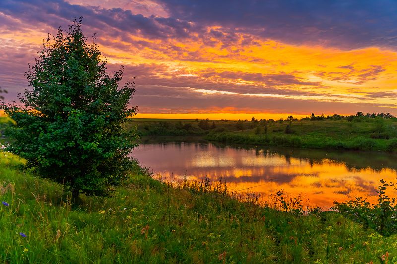 вечерняя заря, пейзаж, август, Догорает вечерняя заря фото превью