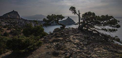 Утренний пейзаж