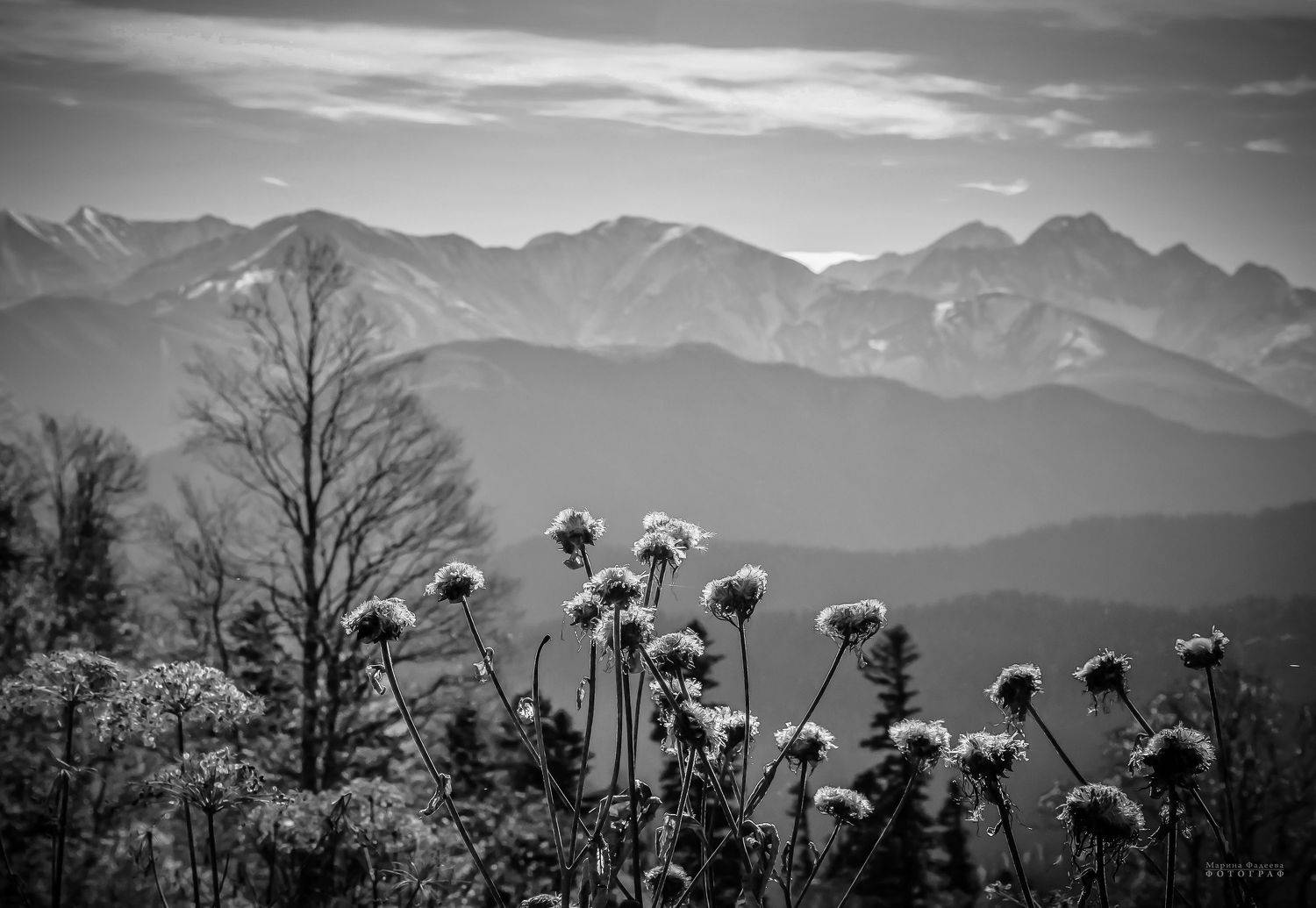 пейзаж, природа, горы, кавказ, адыгея,  Мариночка