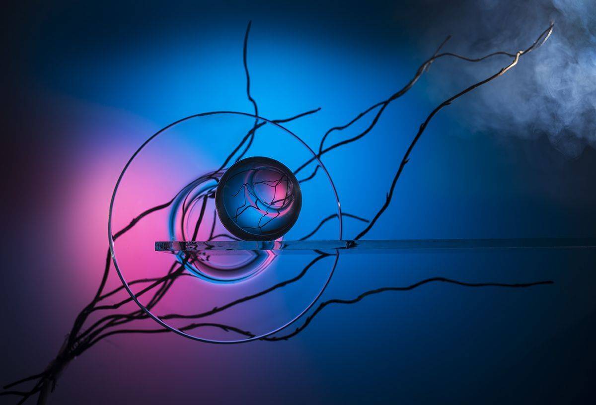 , Евгений Попов