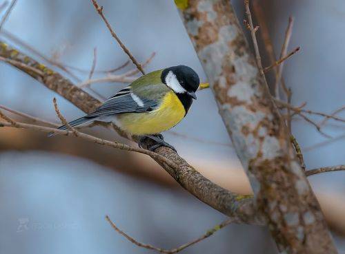 Мартовский день