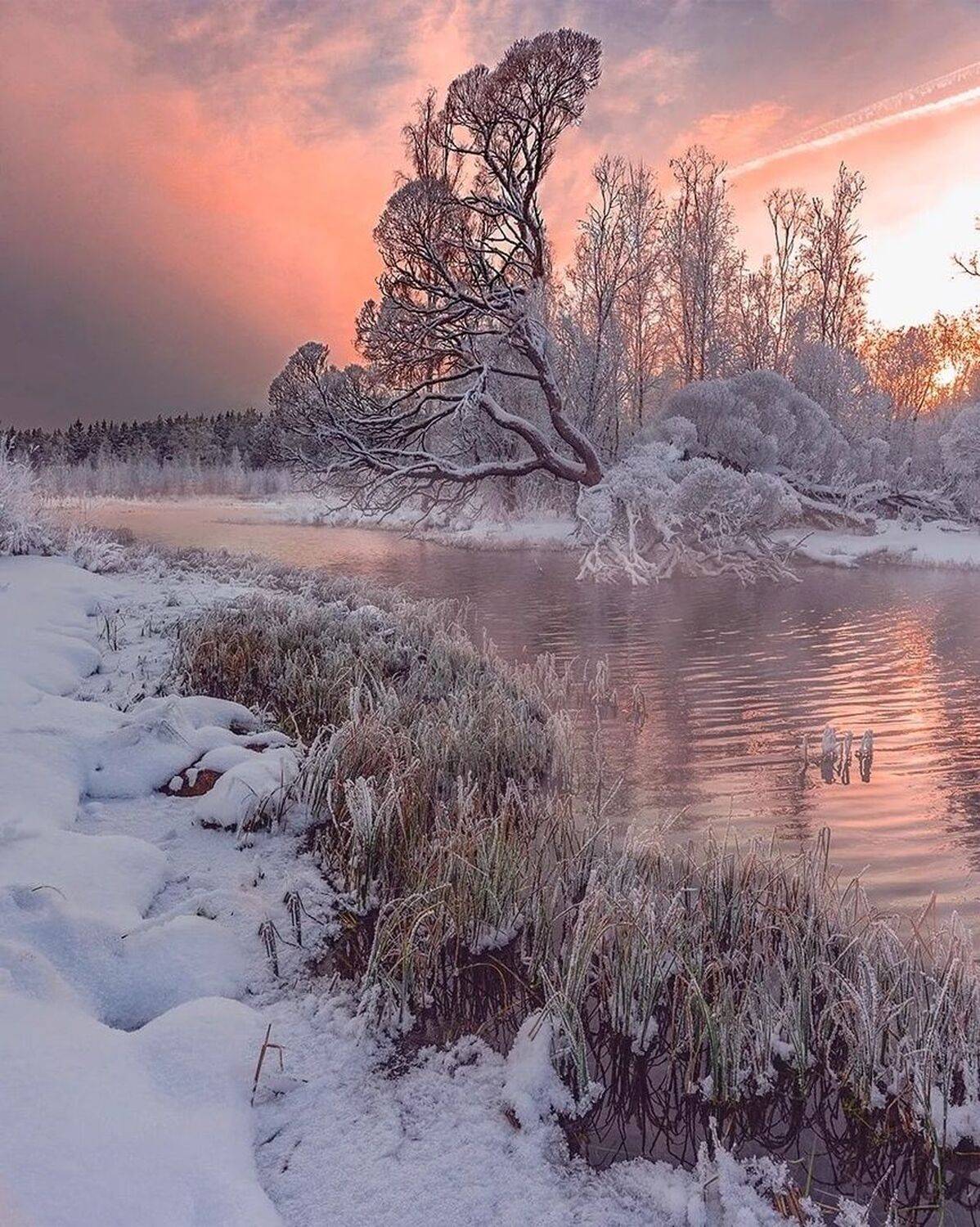 , Петр Косых