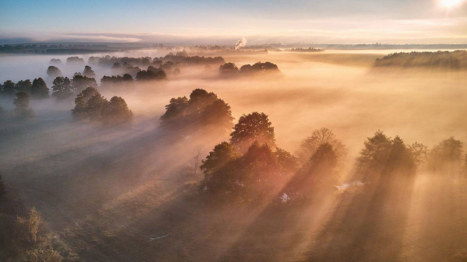 беларусь, осень, поля, рассвет, река, сентябрь, туман, уса, утро, Вейзе Максим
