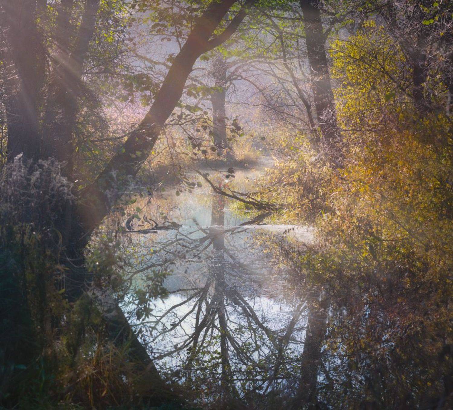 тула, воронка, ясная поляна, Сергей Кочергин