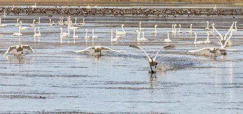 Посторонись!!!!
