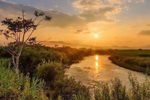 Летний вечер
