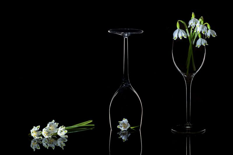 First flowers фото превью