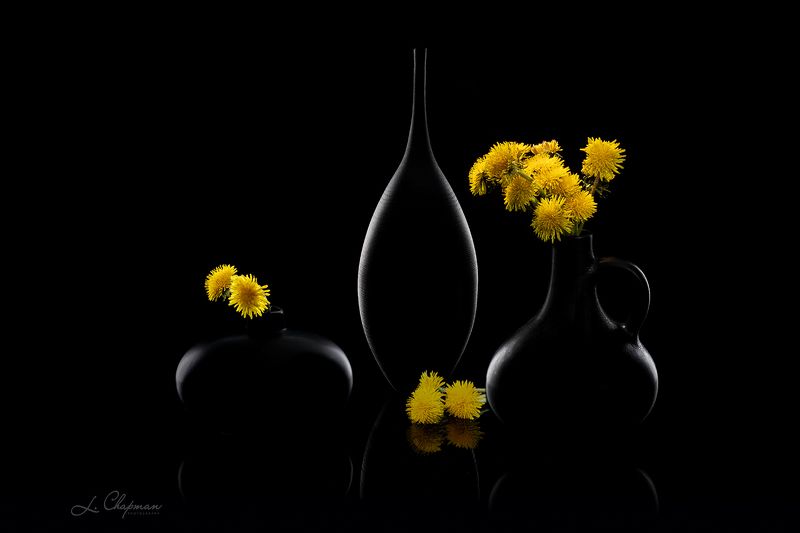 Dandylions фото превью