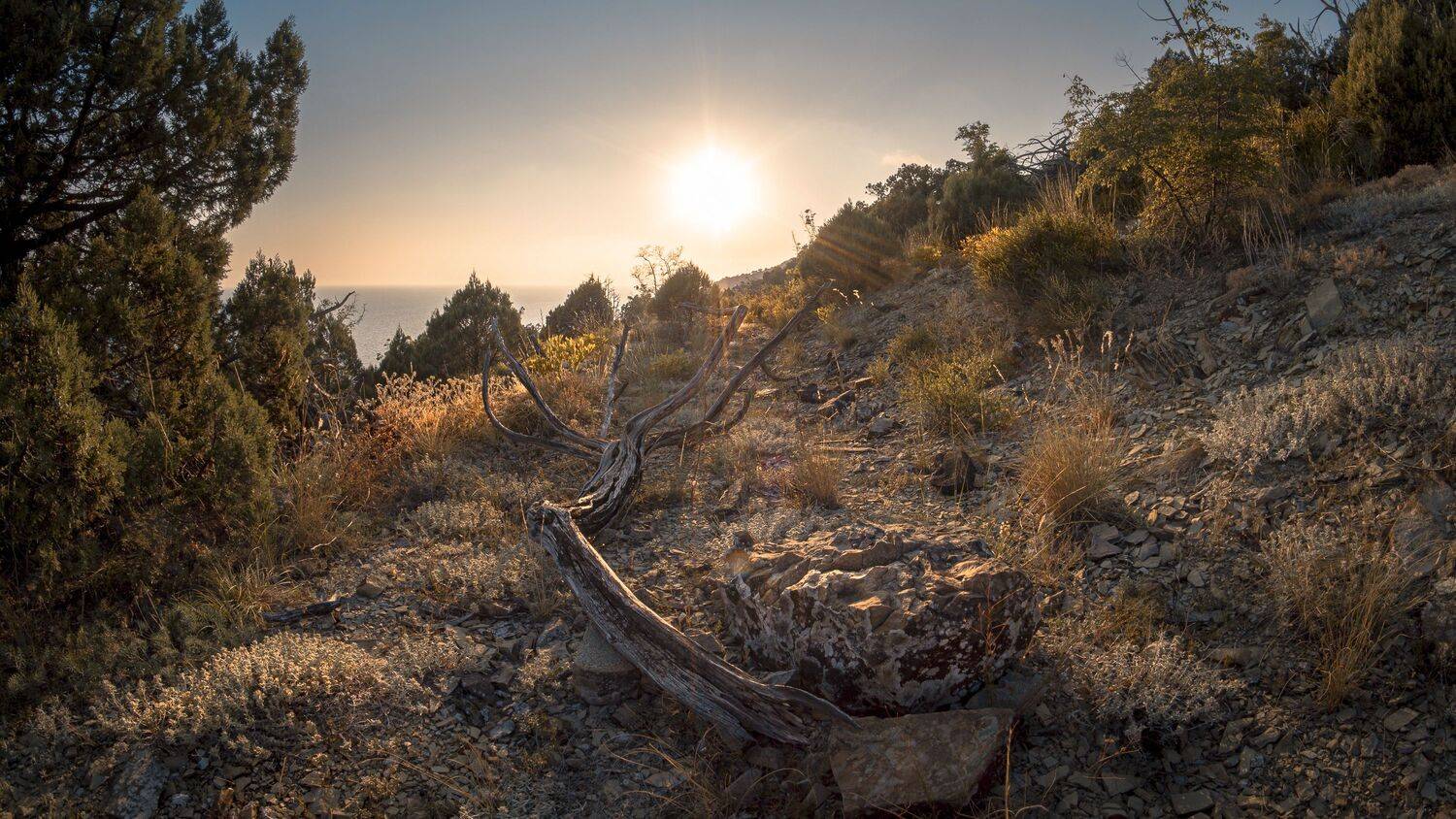 , Вадим Коваленко