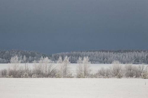 Зимние истории