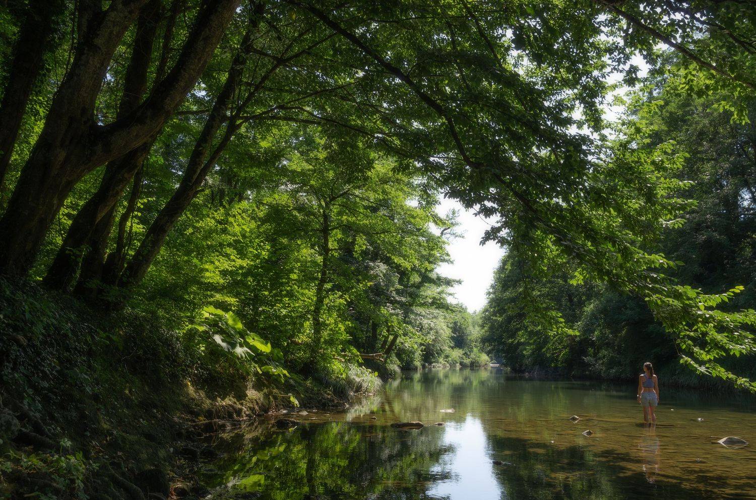 , Антон Литвин