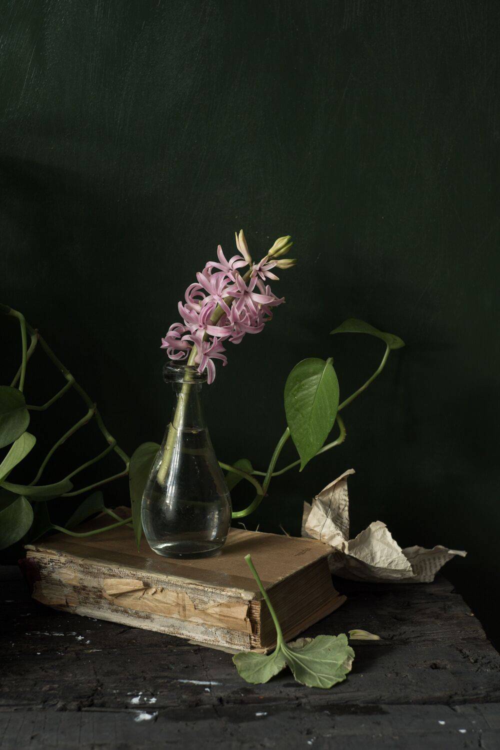 , Вихрова Юлия