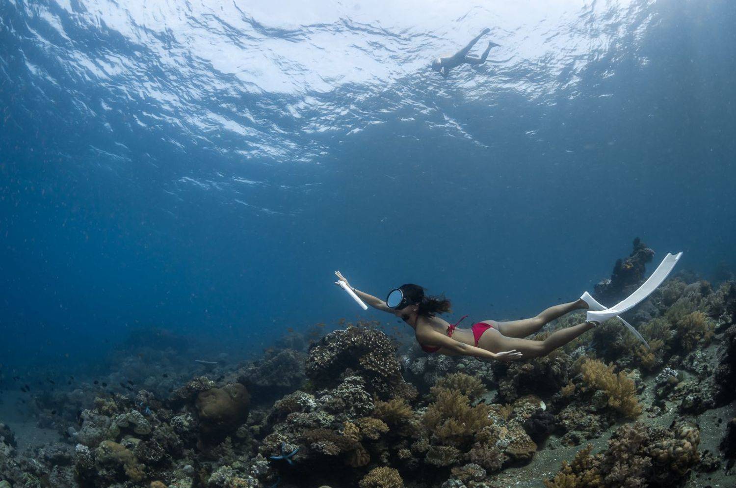 , Савин Андрей