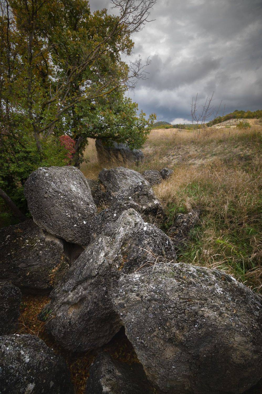 , Черкасов Сергей