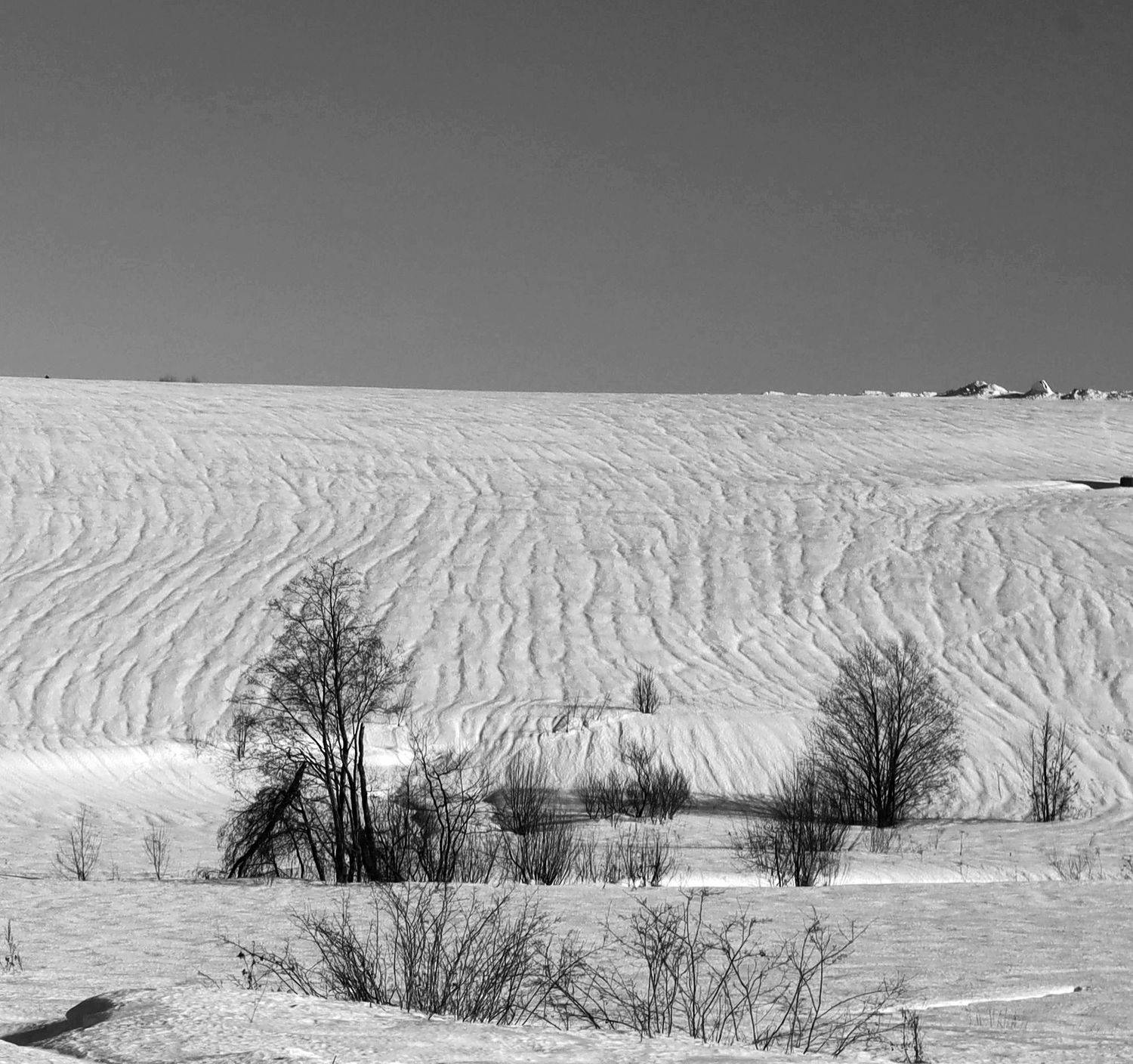 , Павел Мартюшев