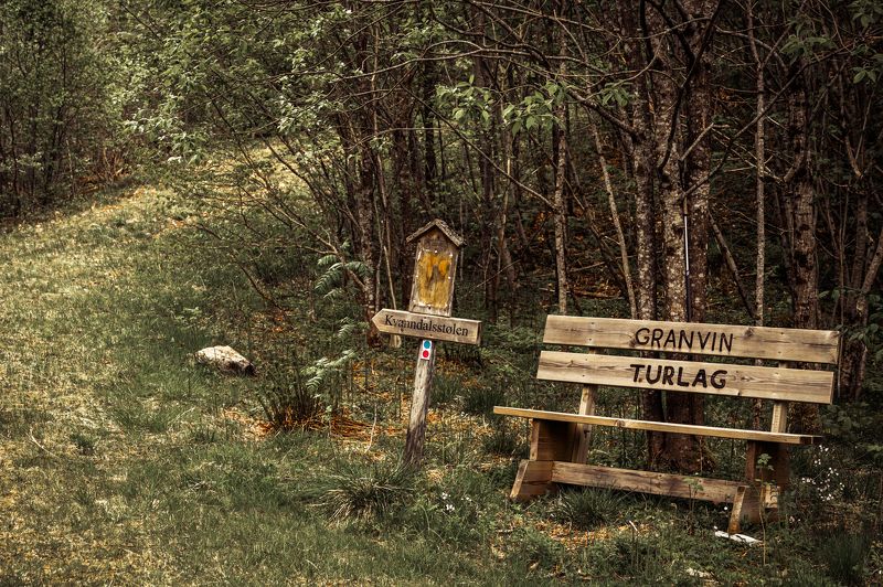 In skogen фото превью