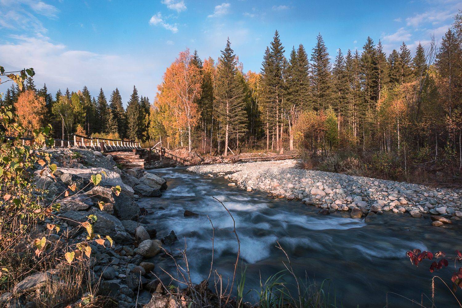 , Лариса Николаевна Дука