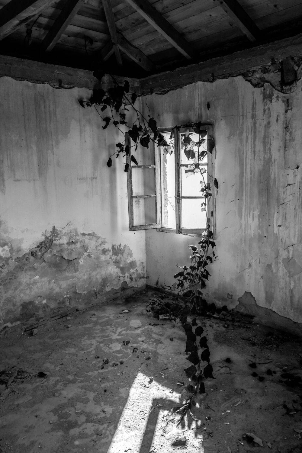 , Шилов Александр