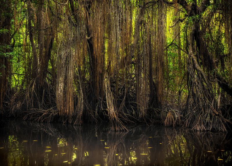 занавес фото превью