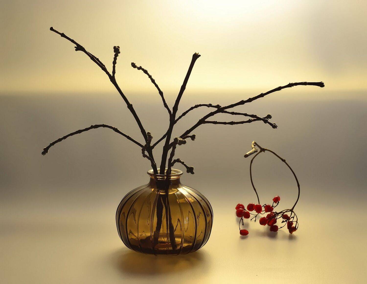 ветки,стекло,свет,цвет, Инаида